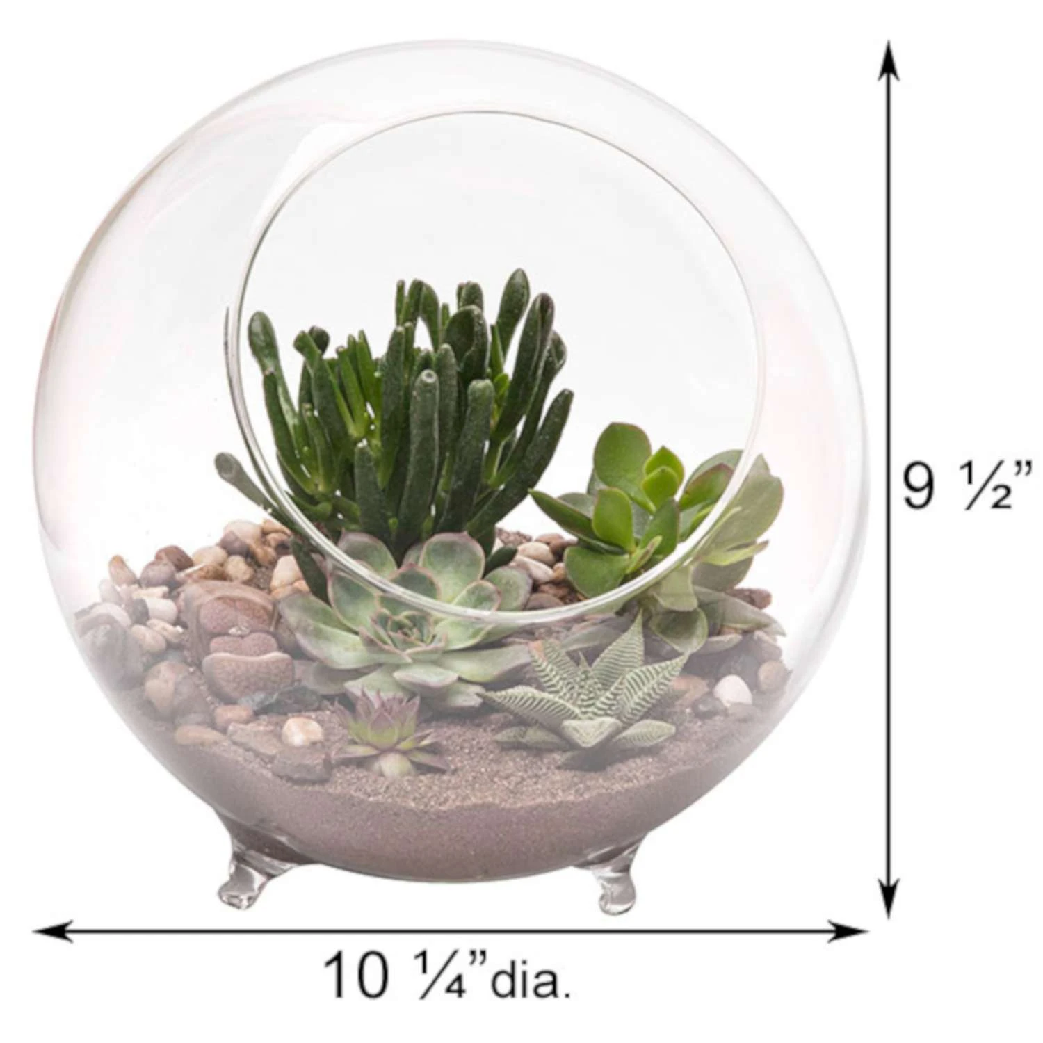 Panacea 9.5 In. H X 10.25 In. D Glass Sphere Terrarium With Feet Clear 4 Panacea 9.5 In. H X 10.25 In. D Glass Sphere Terrarium With Feet Clear - Image 2