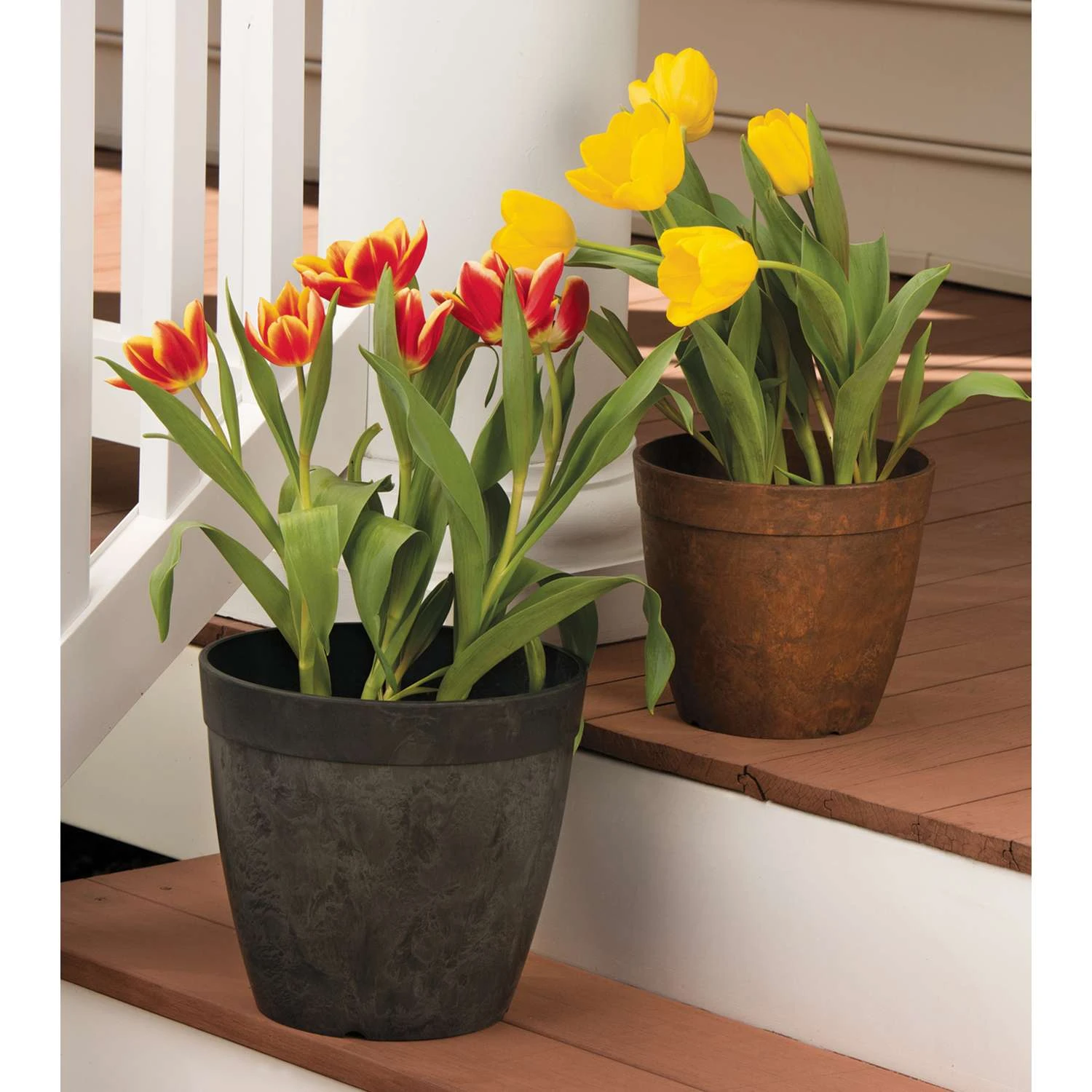 Novelty ArtStone 7.5 In. H X 6.5 In. W X 6.5 In. D X 8 In. D Resin Dolce Planter Rust 6 Novelty ArtStone 7.5 In. H X 6.5 In. W X 6.5 In. D X 8 In. D Resin Dolce Planter Rust - Image 4