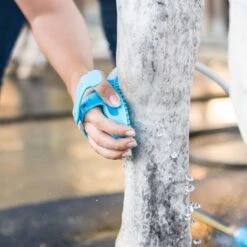 Aquapaw Grooming Brush For Horse -ORBIT || ACE || TORO Shop 0804a204 b076 4919 911e add476cb4c12