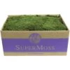 SuperMoss Green Sheet Moss 1560 Cu In 2 SuperMoss Green Sheet Moss 1560 Cu In -ORBIT || ACE || TORO Shop 0a64c5a3 7a27 4108 bfb1 5a5e06e5bdae
