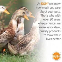 K&H Pet Prodcuts 120 V Fount Heater Base For Game Birds/Poultry -ORBIT || ACE || TORO Shop 0ab03e1e 8808 498f 900f 19e96cac5f48