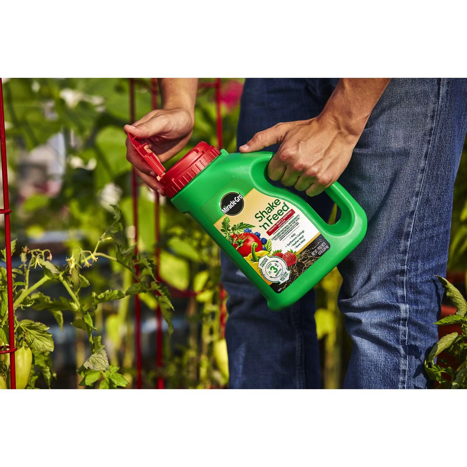 Miracle-Gro Shake 'n Feed Granules Plant Food 4.5 Lb 9 Miracle-Gro Shake 'n Feed Granules Plant Food 4.5 Lb - Image 7