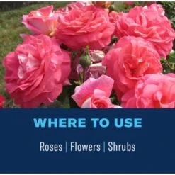 BioAdvanced 2-in-1 Systemic Roses And Flowers 6-9-6 Rose & Flower Fertilizer/Insecticide 10 Lb 11 BioAdvanced 2-in-1 Systemic Roses And Flowers 6-9-6 Rose & Flower Fertilizer/Insecticide 10 Lb -ORBIT || ACE || TORO Shop 0b55c117 37f8 4de7 9f42 05f673b626d3