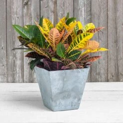 Novelty Artstone 11.5 In. H X 11.8 In. W X 11.8 In. D Resin Ella Planter Gray -ORBIT || ACE || TORO Shop 0c1073ff b13a 48ae b712 3d3b5371ede2