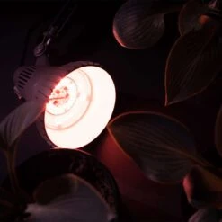 Stonepoint Hydroponic Grow Light 13 W LED 9 Stonepoint Hydroponic Grow Light 13 W LED -ORBIT || ACE || TORO Shop 0ca1cec9 6197 430d 826e d341be14231c