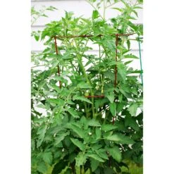 Glamos Wire 54 In. H X 16 In. W X 16 In. D Red Steel Tomato Cage -ORBIT || ACE || TORO Shop 0e62d1ab aafa 4214 9f88 038cc6cf187e