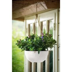 Novelty Artstone 5.9 In. H X 12.2 In. W X 12.2 In. D X 12.2 In. D Resin Napa Hanging Planter White 9 Novelty Artstone 5.9 In. H X 12.2 In. W X 12.2 In. D X 12.2 In. D Resin Napa Hanging Planter White -ORBIT || ACE || TORO Shop 0f39221a 660b 48ff ab3f 47aa8734ce5d