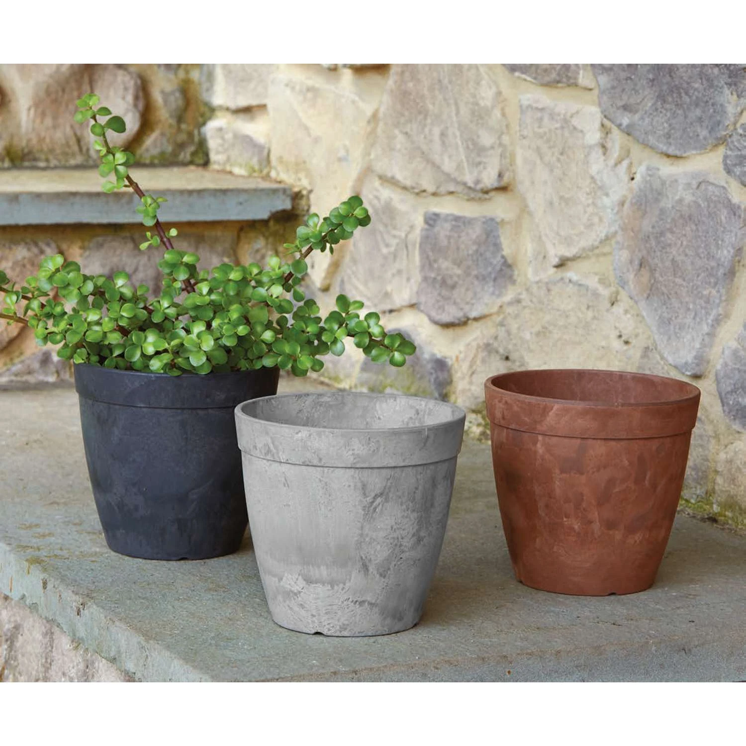 Novelty ArtStone 7.5 In. H X 6.5 In. W X 6.5 In. D X 8 In. D Resin Dolce Planter Rust 5 Novelty ArtStone 7.5 In. H X 6.5 In. W X 6.5 In. D X 8 In. D Resin Dolce Planter Rust - Image 3