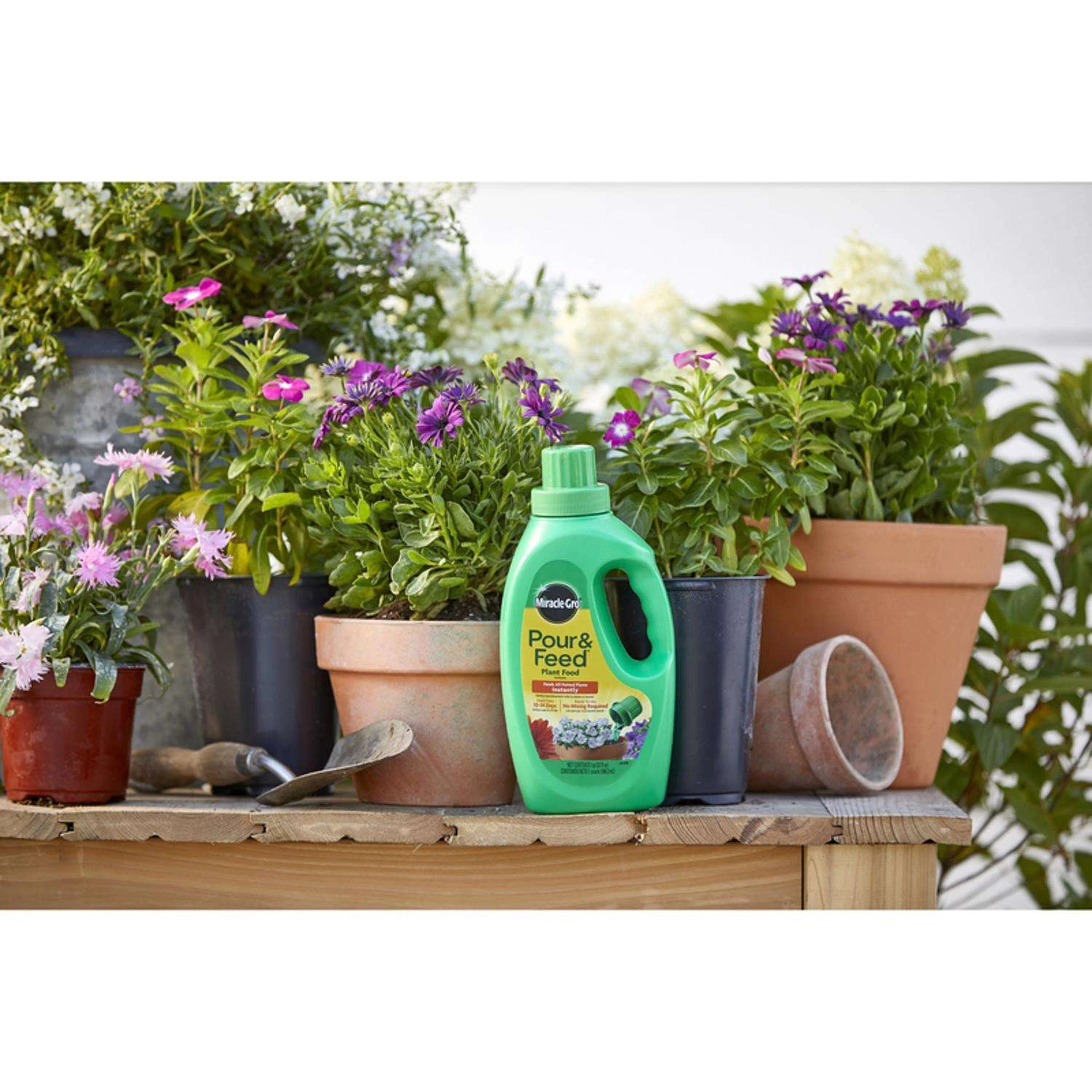 Miracle-Gro Pour & Feed Liquid Plant Food 32 Oz 6 Miracle-Gro Pour & Feed Liquid Plant Food 32 Oz - Image 4