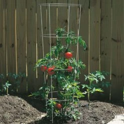 Panacea 54 In. H X 16 In. W X 16 In. D Gray Steel Tomato Cage 5 Panacea 54 In. H X 16 In. W X 16 In. D Gray Steel Tomato Cage -ORBIT || ACE || TORO Shop 12da0d66 880e 4149 a445 98daf11abda0