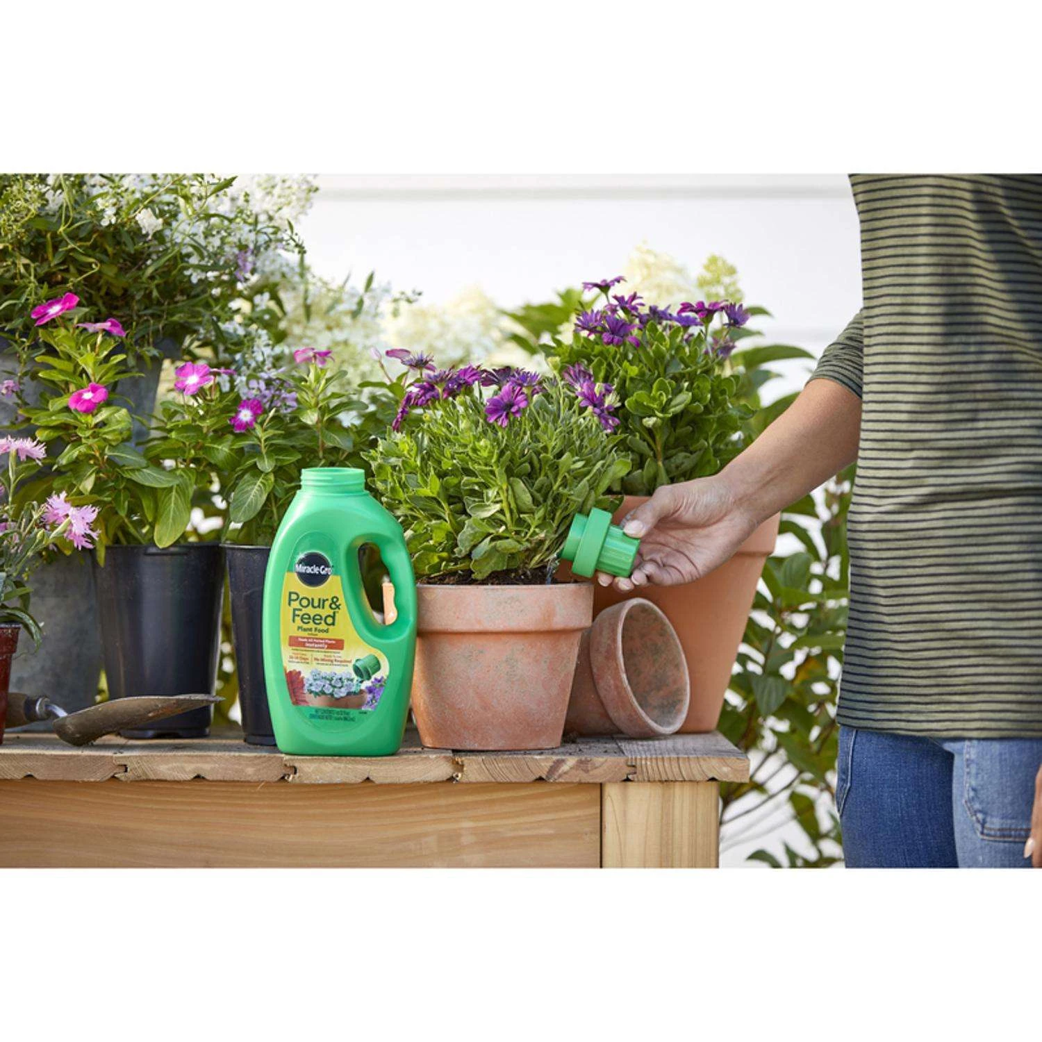 Miracle-Gro Pour & Feed Liquid Plant Food 32 Oz 7 Miracle-Gro Pour & Feed Liquid Plant Food 32 Oz - Image 5