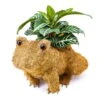 Ultimate Innovations Coco Fiber Frog Patio Planter Brown 2 Ultimate Innovations Coco Fiber Frog Patio Planter Brown -ORBIT || ACE || TORO Shop 16203911 078b 47c8 b096 4fe4be5be0a3