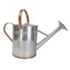 Panacea Copper/Silver 2 Gal Galvanized Steel Watering Can -ORBIT || ACE || TORO Shop 176e67e5 21a8 43f3 b466 83e529772726