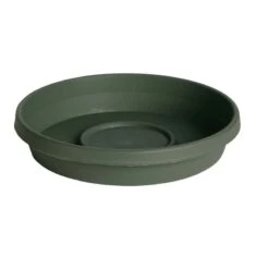 Bloem Terratray 2.7 In. H X 17 In. D Resin Traditional Tray Thyme Green