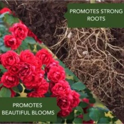 BioAdvanced All-in-One Rose And Flower Care Liquid Concentrate Plant Food 32 Oz -ORBIT || ACE || TORO Shop 18327dee c4a5 47e7 982a 3d51660299ea