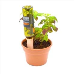 Bosmere Clay Clay Wine Bottle Drinks -ORBIT || ACE || TORO Shop 1a8cc232 547a 43b4 965a dfbd46eab77b