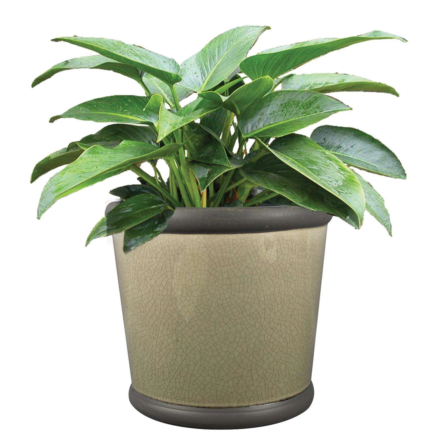 Trendspot Belleville 8.35 In. H X 9.2 In. W X 9.2 In. D X 9 In. D Ceramic Planter Gray 4 Trendspot Belleville 8.35 In. H X 9.2 In. W X 9.2 In. D X 9 In. D Ceramic Planter Gray - Image 2