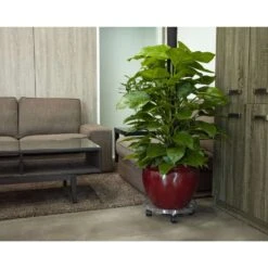 Bond 15 In. D Polystyrene Plant Caddy Clear -ORBIT || ACE || TORO Shop 1f49e1b7 43fa 4c6e ada5 c1b254214eec