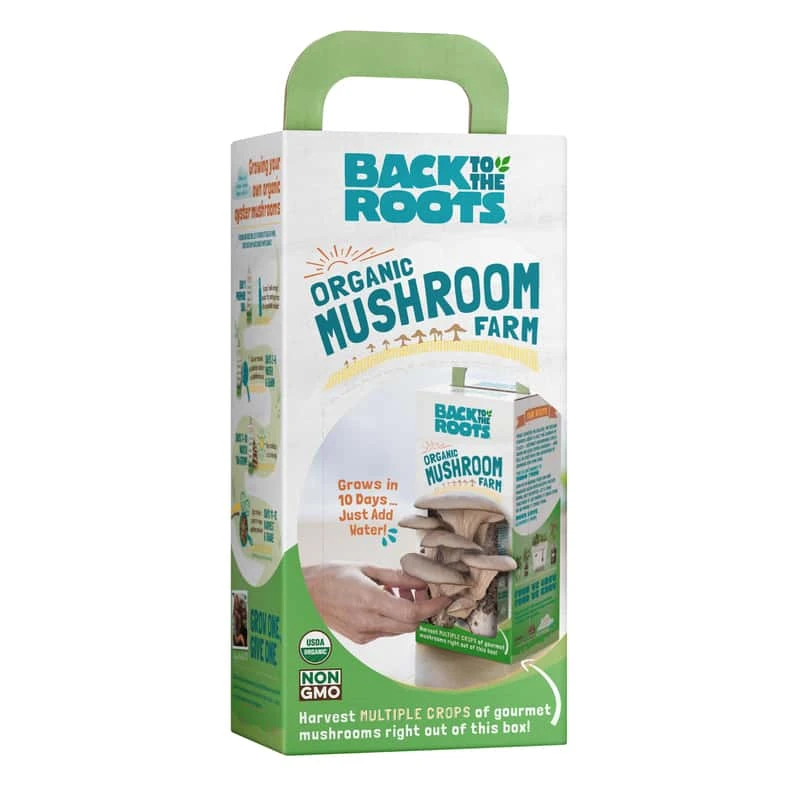 Back To The Roots Mushroom Grow Kit 1 Pk 4 Back To The Roots Mushroom Grow Kit 1 Pk - Image 2