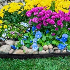 EasyFlex 20 Ft. L X 2.5 In. H Plastic Black Coiled Edging -ORBIT || ACE || TORO Shop 20417ed9 deed 4265 b9f1 9225aab5ae64