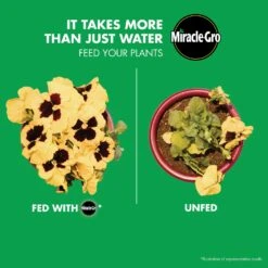 Miracle-Gro LiquaFeed Liquid All Purpose Plant Food 16 Oz -ORBIT || ACE || TORO Shop 21451f42 2368 4d79 b51a 4db962bd8426