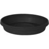 Bloem Terra 3.5 In. H X 20 In. W X 20 In. D X 24 In. D Plastic Solid Plant Saucer Black -ORBIT || ACE || TORO Shop 23512ca5 0b13 4021 bd8c 96f5d35ddb3d