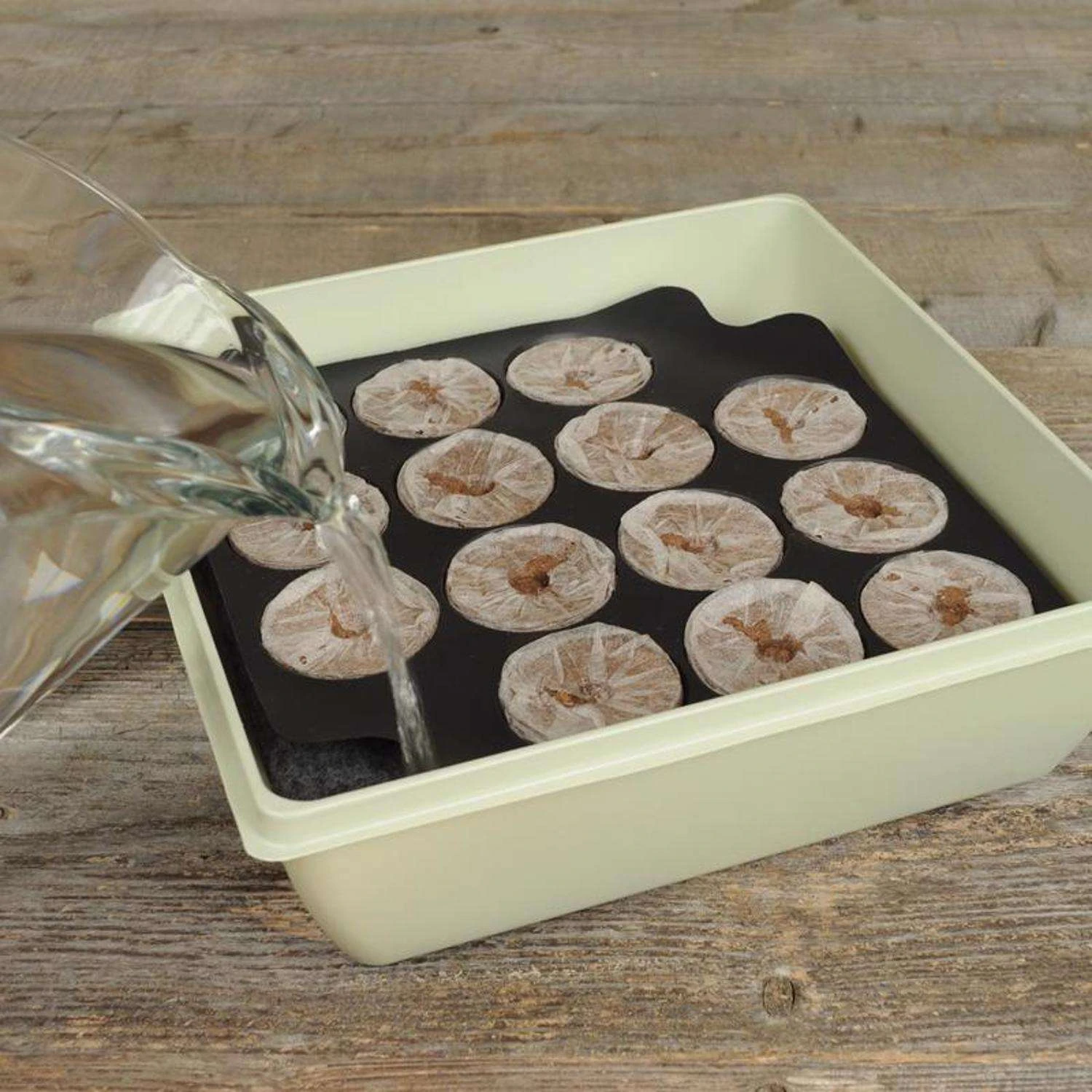 Jiffy 14 Cells 11 In. H X 11 In. W Seed Starting Kit 1 Pk 4 Jiffy 14 Cells 11 In. H X 11 In. W Seed Starting Kit 1 Pk - Image 2