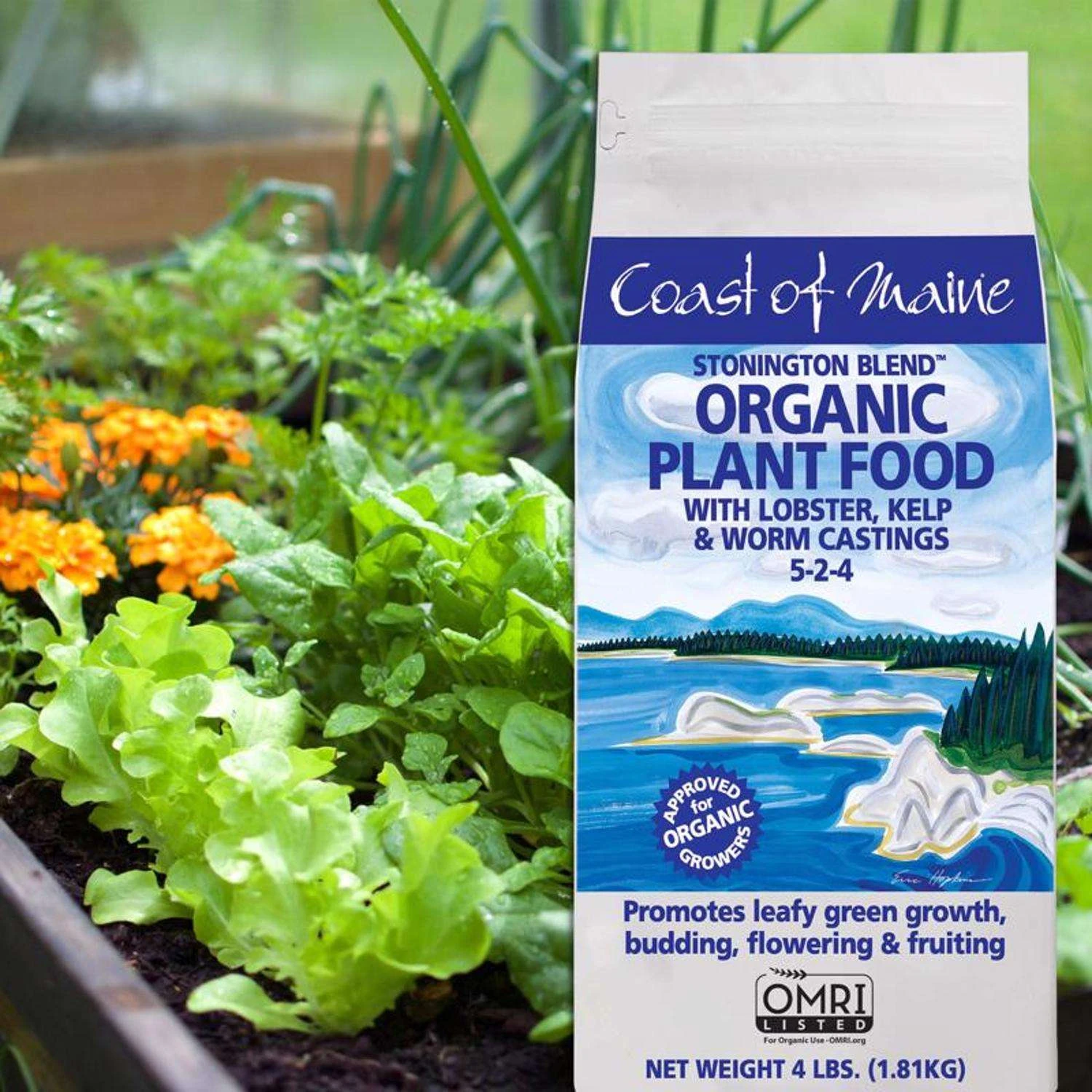 Coast Of Maine Stonington Blend Organic Granules All Purpose Plant Food 4 Lb 6 Coast Of Maine Stonington Blend Organic Granules All Purpose Plant Food 4 Lb - Image 4
