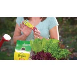 Miracle-Gro Watering Can Singles Powder All Purpose Plant Food 24 Pk -ORBIT || ACE || TORO Shop 2884ad27 c4eb 48c3 9b05 85e2ad8486b3