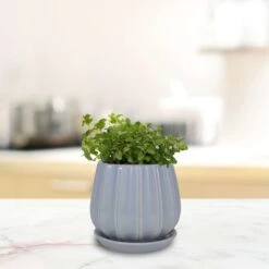 Trendspot Contour 5.5 In. H X 5.9 In. W X 5.9 In. D X 6 In. D Ceramic Planter Light Blue -ORBIT || ACE || TORO Shop 2bf28619 dd27 4e86 842c dc892f087d7c