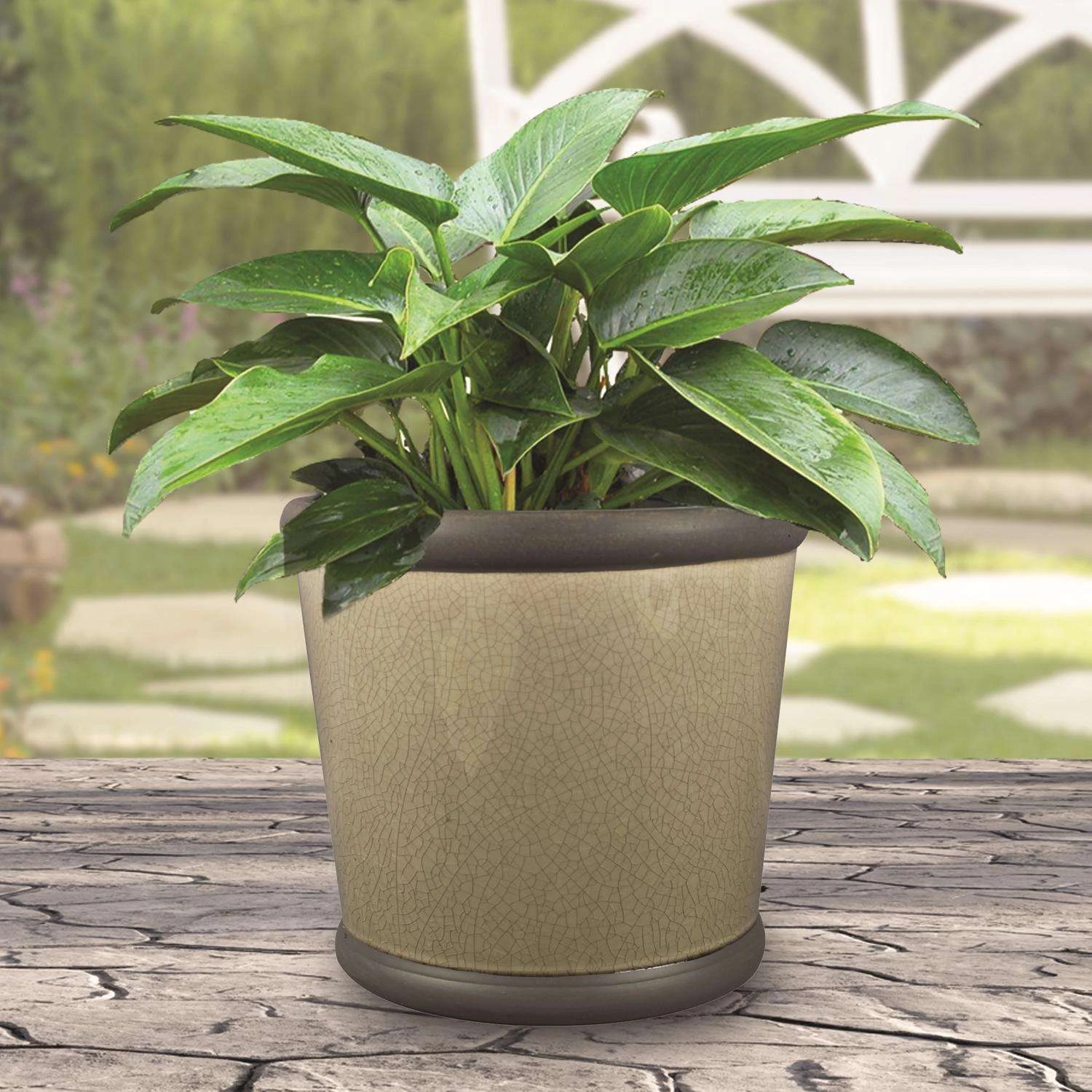 Trendspot Belleville 8.35 In. H X 9.2 In. W X 9.2 In. D X 9 In. D Ceramic Planter Gray 5 Trendspot Belleville 8.35 In. H X 9.2 In. W X 9.2 In. D X 9 In. D Ceramic Planter Gray - Image 3