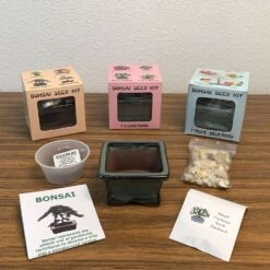 Eve's Garden Succulent Gift Box Planter 1 Pk