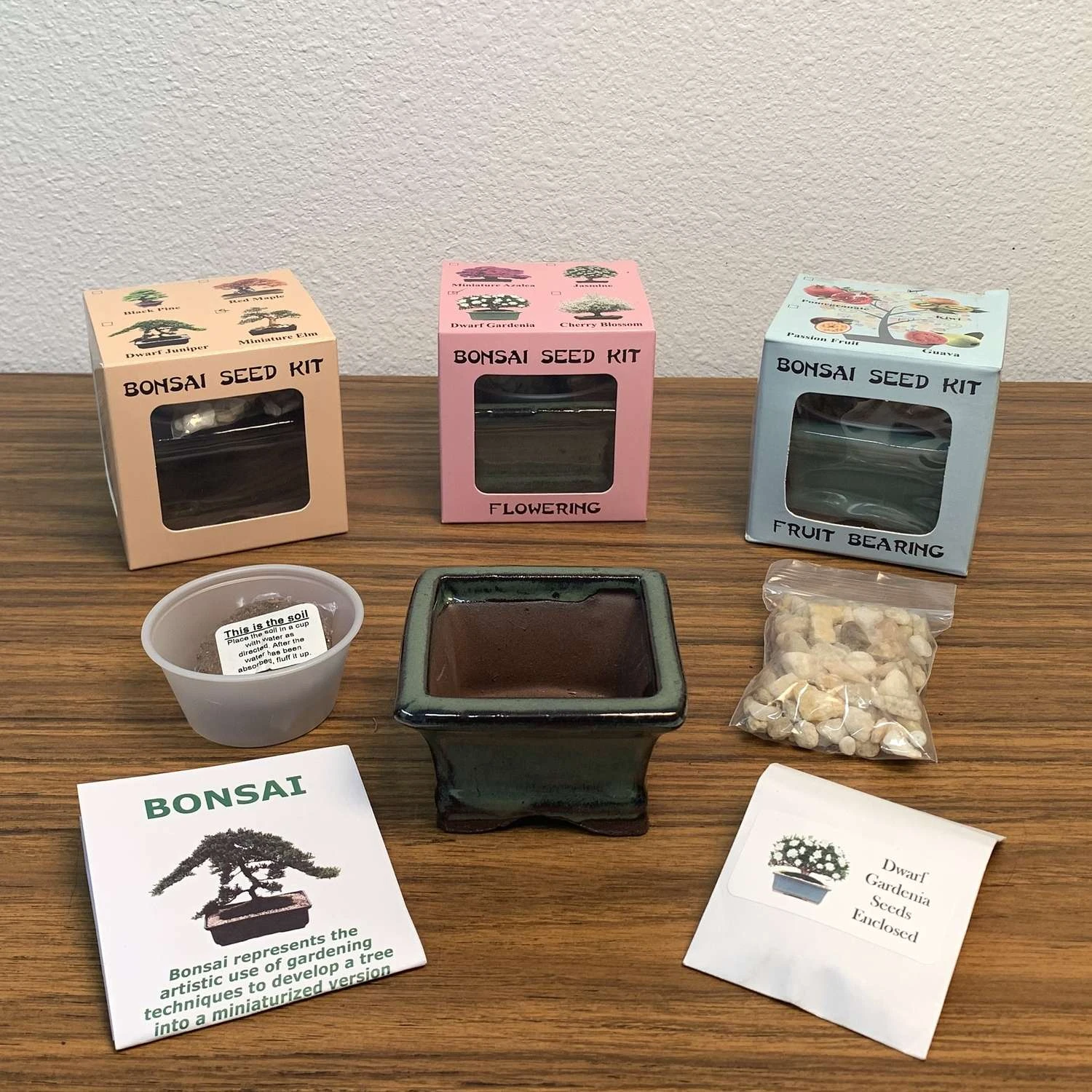 Eve's Garden Succulent Gift Box Planter 1 Pk 3 Eve's Garden Succulent Gift Box Planter 1 Pk