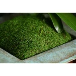 SuperMoss Green Sheet Moss 1560 Cu In -ORBIT || ACE || TORO Shop 320a0643 ff7a 4065 96e2 220ac3d9b467