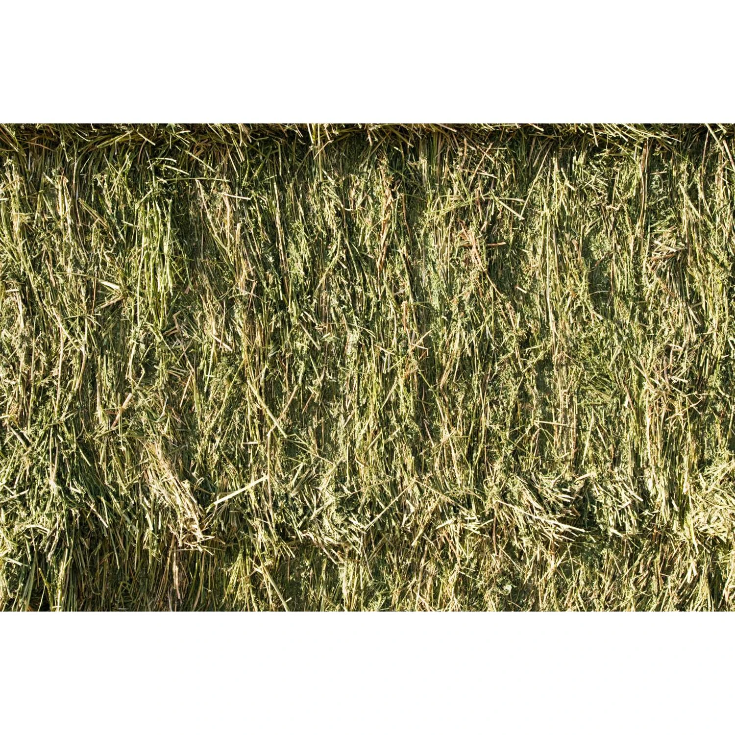 Locally Sourced Hay Alfalfa Bale 2 String 3 Locally Sourced Hay Alfalfa Bale 2 String