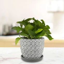 Trendspot Tribeca 7.3 In. H X 8.3 In. W X 8.3 In. D X 8 In. D Ceramic Planter Charcoal -ORBIT || ACE || TORO Shop 3456304c a653 460e 89a1 782908ba05c0