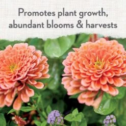 Whitney Farms Organic Granules All Purpose Plant Food 4 Lb -ORBIT || ACE || TORO Shop 37ec975c 6691 4a85 9aaa 251fc5413b26