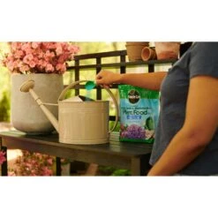 Miracle-Gro Powder Acid-Loving Plants Of Azalea, Camellia, Rhododendron Plant Food 5 Lb -ORBIT || ACE || TORO Shop 3958887a c474 45e6 b727 77ad6eb2cc7f