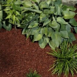 Rubberific Red Shredded Rubber Mulch 0.8 Cu Ft -ORBIT || ACE || TORO Shop 3995d139 8981 4df9 877c 402f4be61322