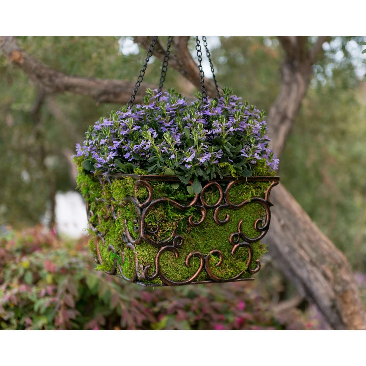 SuperMoss Green Sheet Moss 480 Cu In 6 SuperMoss Green Sheet Moss 480 Cu In - Image 4