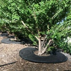 Raindrip For 1/4 In. Tubing Precision Watering Pad 0.5 In. H 1 Pk -ORBIT || ACE || TORO Shop 3b3fa0b3 f3cf 42e2 870a 4e0fa0eeb97b