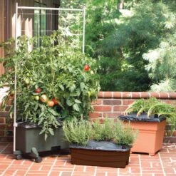 EarthBOX Seed Starting Kit 1 Pk -ORBIT || ACE || TORO Shop 3c4523c2 848f 49af 9a47 4225ede94131