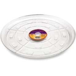 Down Under 17 In. D Plastic Plant Saucer Clear
