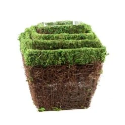 SuperMoss Deco Wire Ventura Planter Set Green