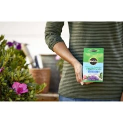 Miracle-Gro Powder Azalea, Camellia, Rhododendron Plant Food 1.5 Lb -ORBIT || ACE || TORO Shop 4adb302d a9f1 4c3c a41b 61ac93e20f50