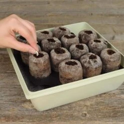 Jiffy 14 Cells 11 In. H X 11 In. W Seed Starting Kit 1 Pk 8 Jiffy 14 Cells 11 In. H X 11 In. W Seed Starting Kit 1 Pk -ORBIT || ACE || TORO Shop 4e0ff9a0 dc3e 42a7 9ce8 1c12c8bf3460