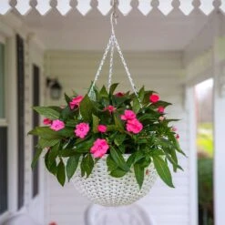 Panacea 9 In. H X 14 In. D Resin Wicker Hanging Basket White 5 Panacea 9 In. H X 14 In. D Resin Wicker Hanging Basket White -ORBIT || ACE || TORO Shop 518a3776 2462 4522 8c56 c9e21ff0f6eb