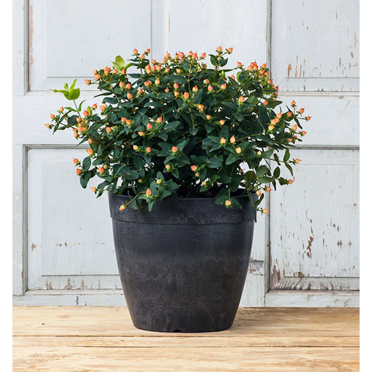 Novelty ArtStone 11.5 In. H X 12.8 In. W X 12.8 In. D X 12.8 In. D Resin Dolce Planter Black 5 Novelty ArtStone 11.5 In. H X 12.8 In. W X 12.8 In. D X 12.8 In. D Resin Dolce Planter Black - Image 3