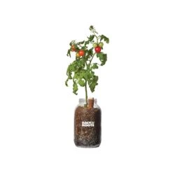 Back To The Roots Cherry Tomato Grow Kit 1 Pk 6 Back To The Roots Cherry Tomato Grow Kit 1 Pk -ORBIT || ACE || TORO Shop 5a3fc8b9 3e37 4ce5 9386 3e3184f14df9