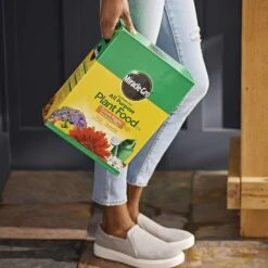 Miracle-Gro Granules All Purpose Plant Food 10 Lb -ORBIT || ACE || TORO Shop 5b35e31e 1cb8 440c 98a0 77ebd5065d3a